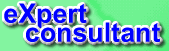 eXpertConsultant